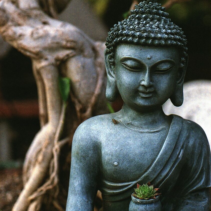 buddha, meditation, statue-1281263.jpg